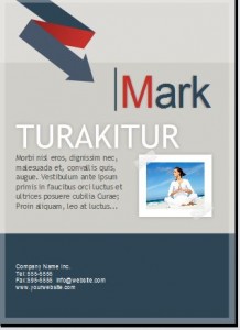 newsletter, flyer, ebook, book, author books design services